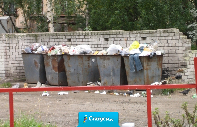 Я настолько стар, что помню, как люди выносили мусор, а ведро нужно было назад принести.