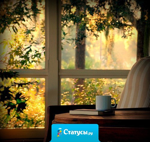 Когда за окном холодно, дома особенно уютно.