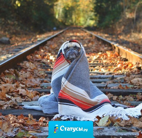 Доктор, у меня аллергия на осень. Я весь покрываюсь одеялом и всё время сплю.