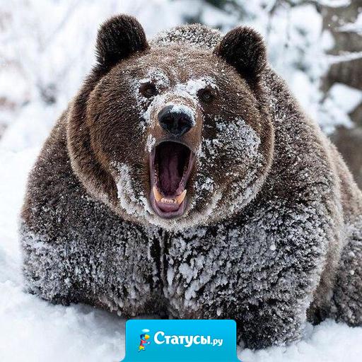 Нельзя выиграть, если ты только защищаешься. Чтобы победить, надо идти в атаку.