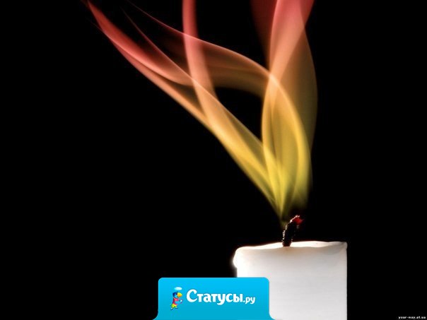 В человеке я люблю свет. Толщина свечи меня не волнует. Пламя скажет мне, хороша ли свеча... 