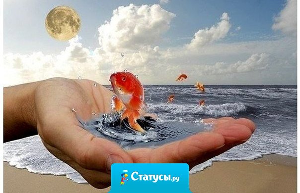 Не позволяйте еще одному дню проходить, не исполнив своего призвания. 