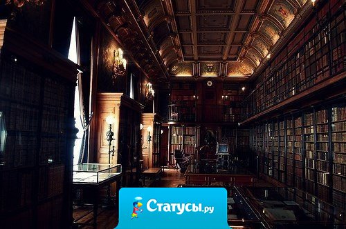 Вкладывай в интеллект! Этот капитал никогда не обесценится и никто не сможет его у тебя его забрать. В мире идиотов — это самый ценный товар.