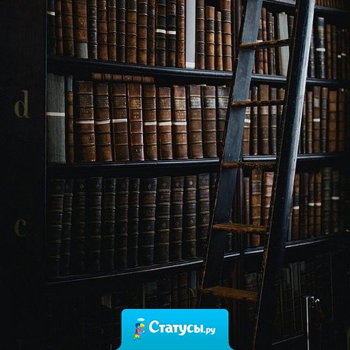 Те, кто читают книги, всегда будут управлять теми, кто смотрит телевизор.