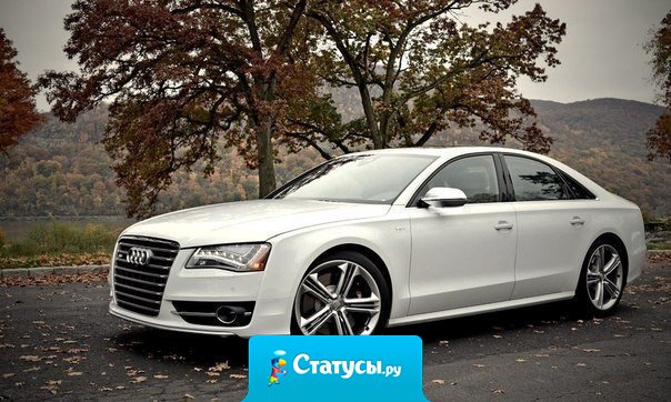 Никогда никого не слушай. Никогда ни на кого не надейся. Никогда ни от кого ничего не жди. Просто возьми и сделай все сам. Поверь - это намного проще.