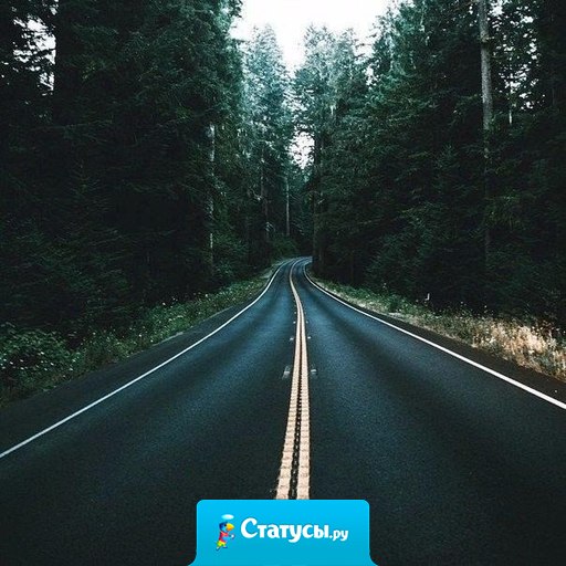 Иногда свернуть не туда единственный способ попасть куда нужно.