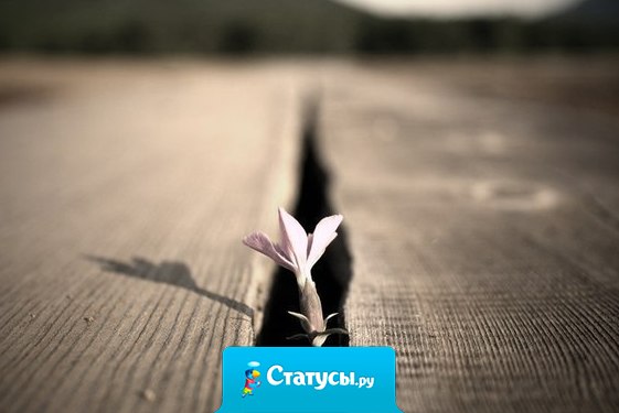 Позволь себе дышать полной грудью и не загоняй себя в рамки. Сила у того, кто верит в свою силу.