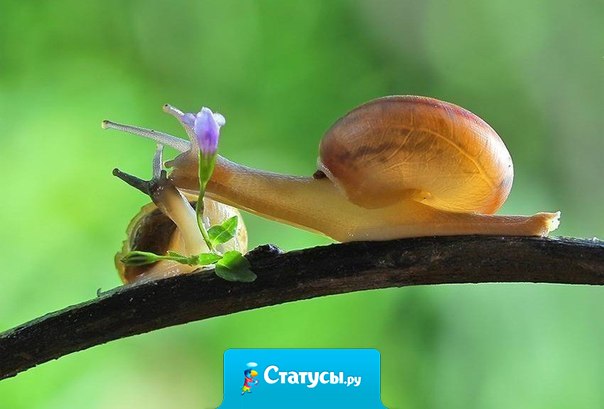 Не важно, как часто вы видитесь — важно, что эти встречи значат для вас.