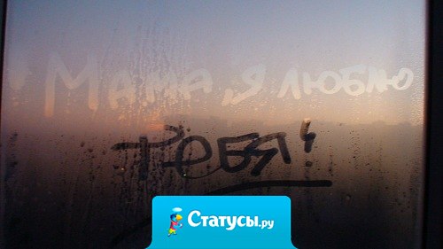 Прости меня за всё. За боль, за крики и кучу убитых нервных клеток. Прости. Я люблю тебя, мама.