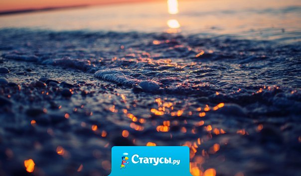 Ни к чему нельзя привыкать!