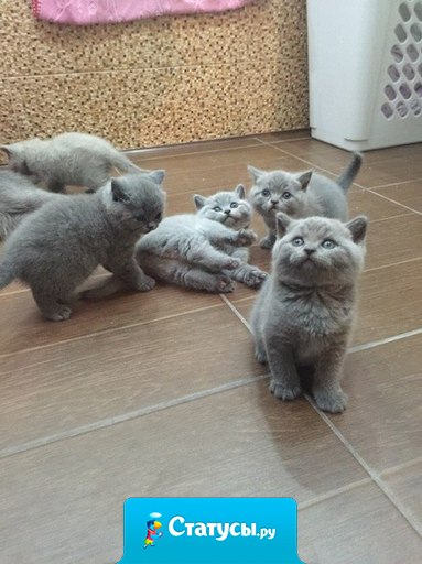 Самые лучшие в мире антидепрессанты.