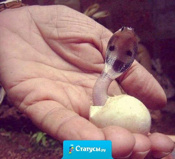 Муж сказал, что нашел мою первую фотографию из роддома.