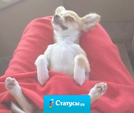 Моя любимая страна — Кроватия.