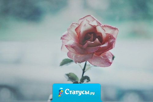 Когда все украшают себя снаружи, ты укрась себя изнутри. Когда все ищут чужие ошибки, ты подумай над своими.