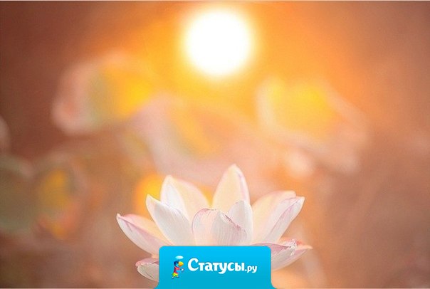 Любите, это единственная истина.