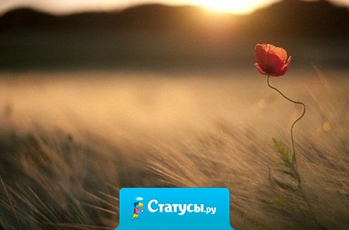 Жизнь задыхается без цели.