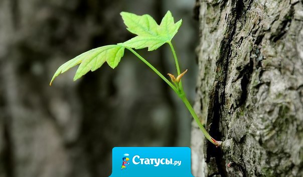 Если у тебя появляется шанс - бери его! Если этот шанс меняет всю твою жизнь, позволь этому случиться.