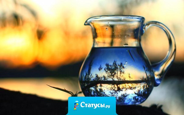 Есть такая восточная поговорка: «Из кувшина в чашку можно налить только то, что в нем было.