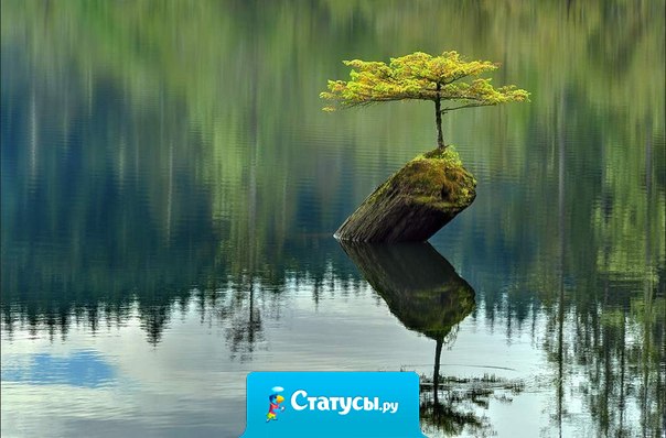 Не говорить с человеком, с которым стоит поговорить, - значит потерять человека. А говорить с человеком, с которым не стоит говорить, - значит терять слова. Мудрец не теряет ни слов, ни людей.