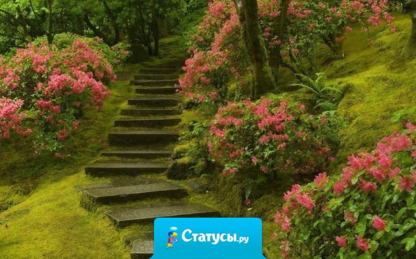 Тот, кто поистине счастлив, счастлив везде: во дворце и в избушке, в богатстве и в бедности, ибо он открыл фонтан счастья, пребывающий в его собственном сердце. До тех пор, пока человек не нашел этого источника, ничто не даст ему настоящего счастья.