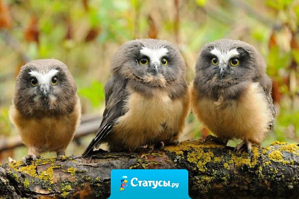 Будьте самоучками, не ждите, пока вас научит жизнь.