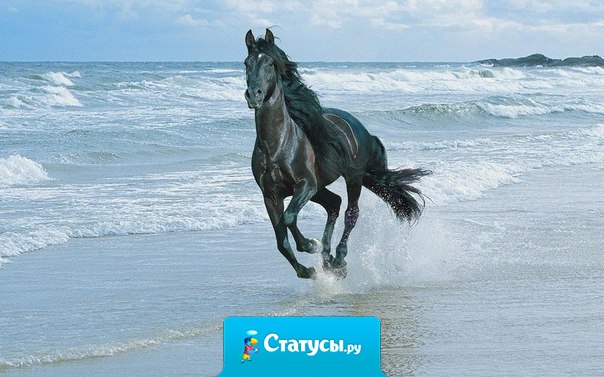 По-проще ко мне, пожалуйста, по-проще.  С любовью, Ваша жизнь...