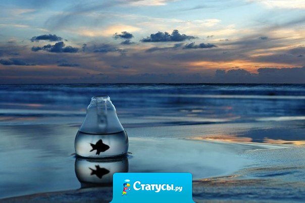 Не ищите ответа, он найдет вас когда вы будете готовы.