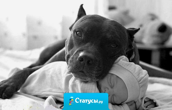 Любить - значит давать кому-то возможность уничтожить тебя, но верить, что он ею не воспользуется.