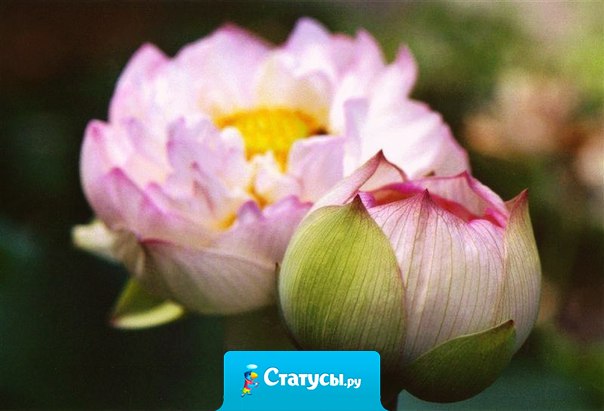 Счастье и несчастье зависят от того, сколько в тебе Любви.