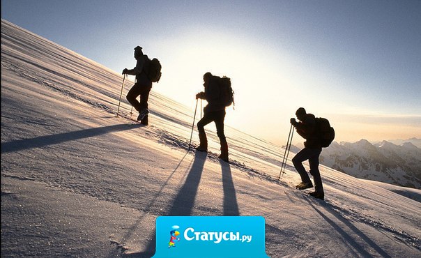 Лозунг «не сдавайся» решал, решает и всегда будет решать любые человеческие проблемы.