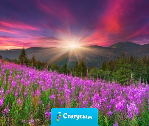 Держи дом в чистоте так, как-будто ждешь гостей. Держи сердце в чистоте так, как-будто ожидаешь смерти.