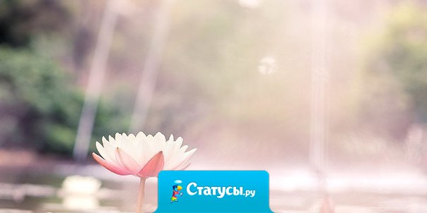 Прежде чем судить ошибки других, обратите внимание на себя. У того, кто бросается грязью, не могут быть чистые руки.