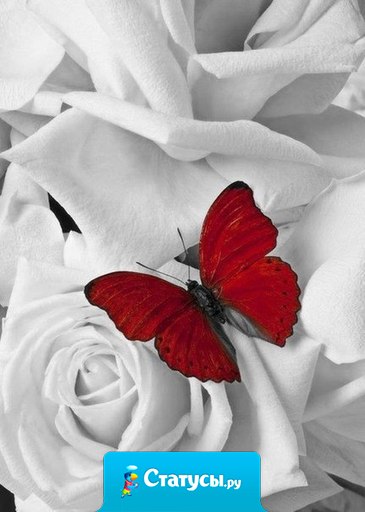 Есть люди, которые думают, что где-то лучше, чем здесь. Есть люди, которые думают, что когда-то было (будет) лучше, чем сейчас. Есть люди, которым хорошо здесь и сейчас, пока остальные думают.