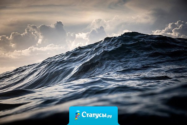 Как заставить человека сказать правду? Разозлите его, в ярости у людей нет времени придумывать ложь.