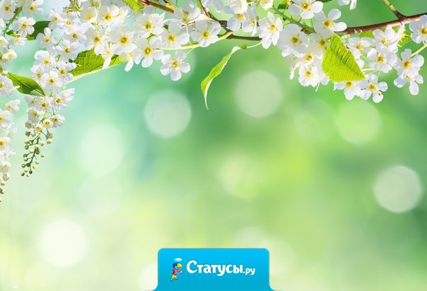 Ответственность — это то, чего больше всего боятся люди. Тем не менее, это именно то, что помогает нам расти в этом мире.