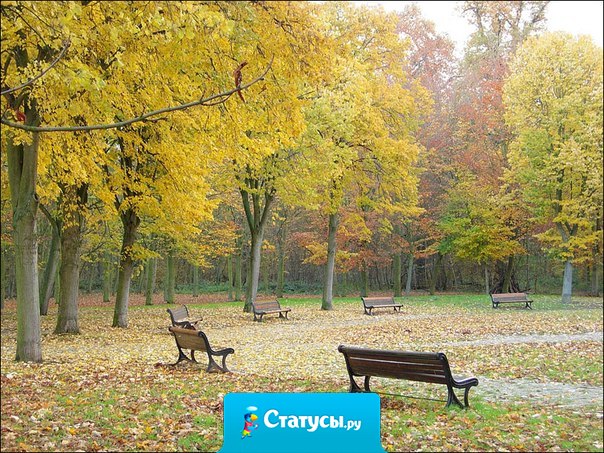 Еще раз напоминаем: к нам пришла осень...
