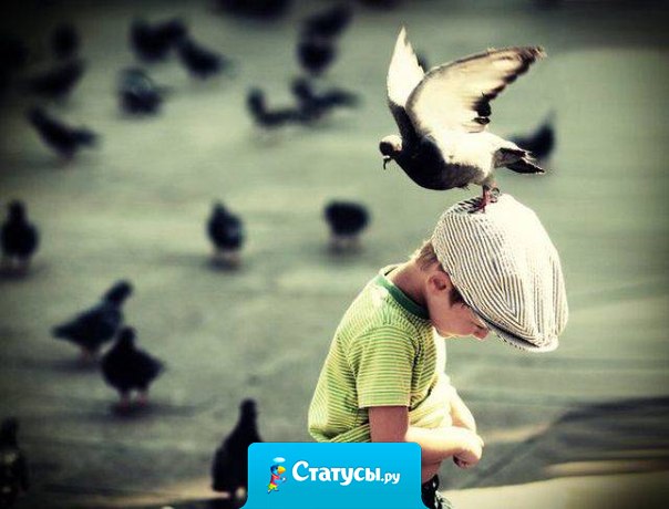 Человечность определяется не по тому, как мы обращаемся с другими людьми. Человечность определяется по тому, как мы обращаемся с животными.