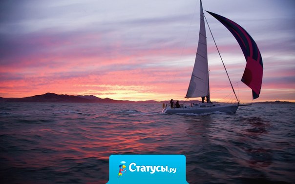 Лет через двадцать вы больше будете жалеть о том, что не сделали, чем о том, что сделали. Поэтому поднимайте якоря и уплывайте из тихой гавани. Ловите попутный ветер в свои паруса.Ищите. Мечтайте. Делайте открытия.