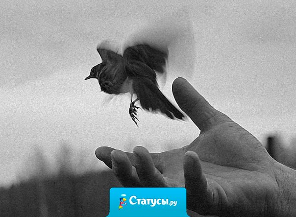 Чем больше решений вы вынуждены делать в одиночку, тем больше вы знаете о собственной свободе выбора.