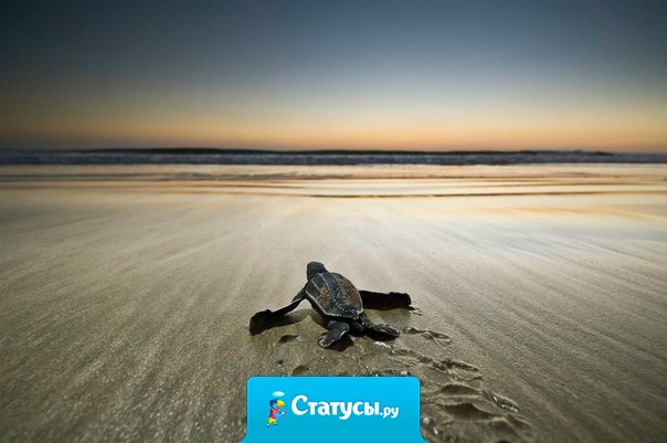 Пока мы продолжаем идти вперёд к цели, в которую верим, всё будет в порядке. Возможно не сразу, но точно будет.