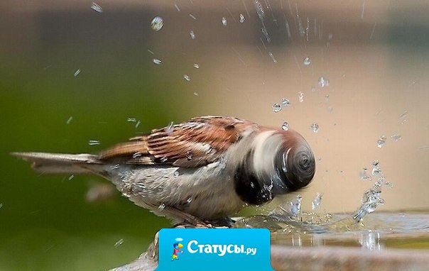 Пора вытряхивать плохие мысли из головы!