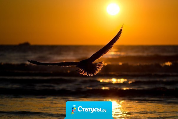 Есть причина, по которой ты выбрал то, что с тобой сейчас происходит. Держись. Пройди через это, в скором времени ты поймешь эту причину.