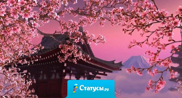 Я попросил дерево: расскажи мне о Боге. И оно зацвело.