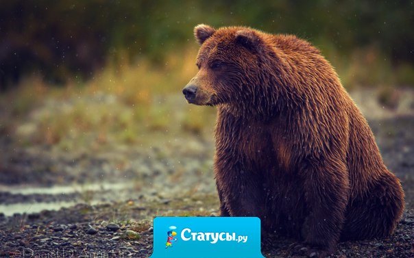 Страшно не то, что вас обманули или обокрали, страшно, что вы постоянно помните об этом. 