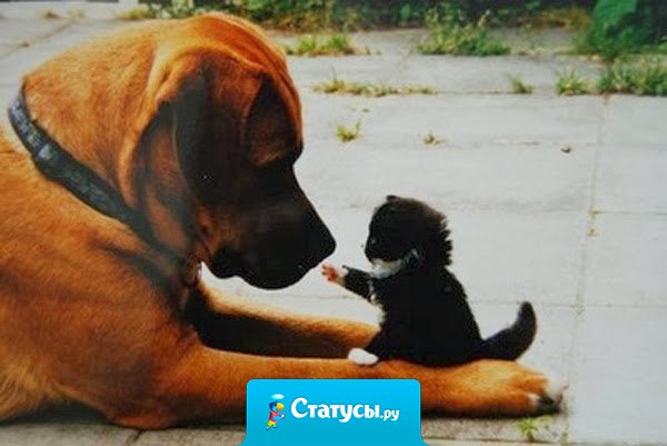 Забывайте обиды, никогда не забывайте доброту.