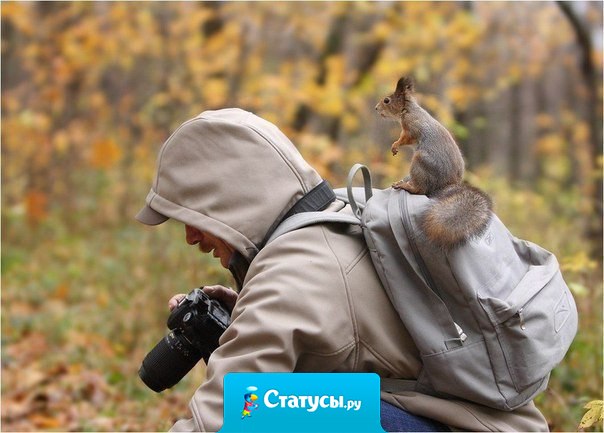 То, что ты ищешь всю жизнь, может быть ближе, чем ты думаешь.