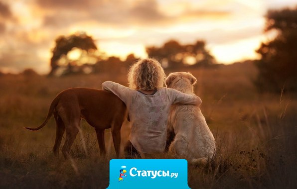 В самые темные времена Господь приводит в твою жизнь лучших людей.