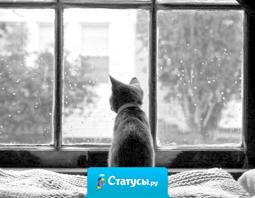 Счастье – это когда ты идешь домой и знаешь, что тебя там ждут.