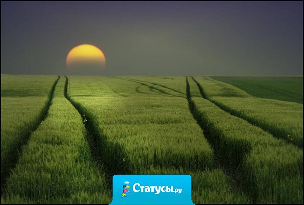 Хочешь продолжения - не рассказывай никому о начале.