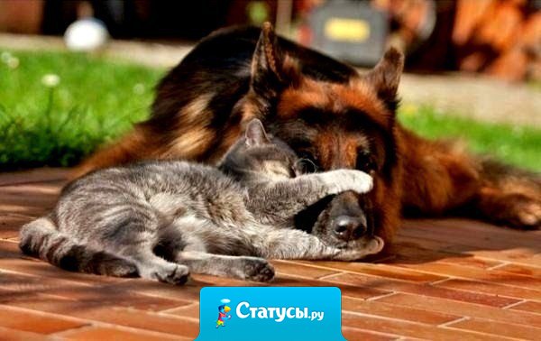 Сильнее любви может быть только терпение. Но не каждому это дано.